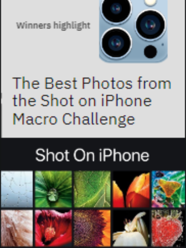 The Best Photos from the Shot on iPhone Macro Challenge